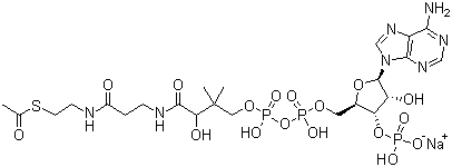 Acetyl coenzyme a sodium salt Structure,102029-73-2Structure