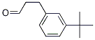 3-(3-叔丁基苯基)丙醛結(jié)構(gòu)式_1023288-21-2結(jié)構(gòu)式