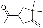 Ethanone, 1-(3,3-dimethyl-4-methylenecyclopentyl)-(9ci)Structure,102939-60-6Structure Ethanone, 1-(3,3-dimethyl-4-methylenecyclopentyl)-(9ci) Structure,102939-60-6Structure