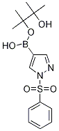 1-苯磺?；?4-(4,4,5,5-四甲基-1,3,2-二氧硼烷)-1H-吡唑結(jié)構(gòu)式_1073372-04-9結(jié)構(gòu)式