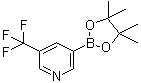 5-Trifluoromethylpyridine-3-boronic acid picol esterStructure,1084953-47-8Structure 5-Trifluoromethylpyridine-3-boronic acid picol ester Structure,1084953-47-8Structure
