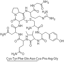 VasopressinStructure,11000-17-2Structure Vasopressin Structure,11000-17-2Structure