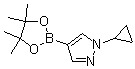 1-Cyclopropyl-4-(4,4,5,5-tetramethyl-1,3,2-dioxaborolan-2-yl)-1h-pyrazoleStructure,1151802-22-0Structure 1-Cyclopropyl-4-(4,4,5,5-tetramethyl-1,3,2-dioxaborolan-2-yl)-1h-pyrazole Structure,1151802-22-0Structure