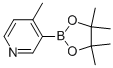 4-Methylpyridine-3-boronic acid pinacol esterStructure,1171891-31-8Structure 4-Methylpyridine-3-boronic acid pinacol ester Structure,1171891-31-8Structure