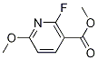 Methyl 2-fluoro-6-methoxynicotinateStructure,117671-03-1Structure Methyl 2-fluoro-6-methoxynicotinate Structure,117671-03-1Structure