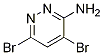 4,6-Dibromopyridazin-3-amineStructure,1206487-35-5Structure 4,6-Dibromopyridazin-3-amine Structure,1206487-35-5Structure