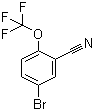 5-Bromo-2-(trifluoromethoxy)benzonitrile Structure,1210906-15-2Structure