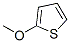 2-Methoxythiophene Structure,16839-97-7Structure