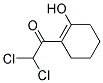 Ethanone, 2,2-dichloro-1-(2-hydroxy-1-cyclohexen-1-yl)-(9ci)Structure,169773-54-0Structure Ethanone, 2,2-dichloro-1-(2-hydroxy-1-cyclohexen-1-yl)-(9ci) Structure,169773-54-0Structure
