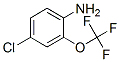 4-Chloro-2-(trifluoromethoxy)anilineStructure,175205-77-3Structure 4-Chloro-2-(trifluoromethoxy)aniline Structure,175205-77-3Structure