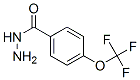 4-三氟甲氧基苯甲酸肼結(jié)構(gòu)式_175277-18-6結(jié)構(gòu)式