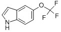 1H-indole, 5-(trifluoromethoxy)-Structure,262593-63-5Structure 1H-indole, 5-(trifluoromethoxy)- Structure,262593-63-5Structure