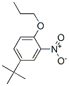 對叔丁基鄰硝基苯丙醚結(jié)構(gòu)式_33353-60-5結(jié)構(gòu)式