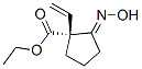 Cyclopentanecarboxylic acid,1-ethenyl-2-(hydroxyimino)-,ethyl ester,(1r)-Structure,335260-40-7Structure Cyclopentanecarboxylic acid,1-ethenyl-2-(hydroxyimino)-,ethyl ester,(1r)- Structure,335260-40-7Structure