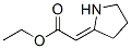 (Z)-ethyl2-(pyrrolidin-2-ylidene)acetateStructure,35150-22-2Structure (Z)-ethyl2-(pyrrolidin-2-ylidene)acetate Structure,35150-22-2Structure