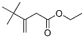 4,4-Dimethyl-3-methylenepentanoic acid ethyl esterStructure,36976-64-4Structure 4,4-Dimethyl-3-methylenepentanoic acid ethyl ester Structure,36976-64-4Structure