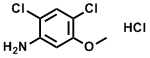 2,4-Dichloro-5-methoxyaniline hydrochlorideStructure,379229-30-8Structure 2,4-Dichloro-5-methoxyaniline hydrochloride Structure,379229-30-8Structure