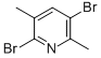 2,5-Dibromo-3,6-dimethylpyridineStructure,38749-93-8Structure 2,5-Dibromo-3,6-dimethylpyridine Structure,38749-93-8Structure