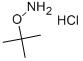 O-t-Butylhydroxylamine hydrochloride Structure,39684-28-1Structure