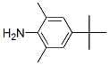 4-(Tert-Butyl)-2,6-dimethylanilineStructure,42014-60-8Structure 4-(Tert-Butyl)-2,6-dimethylaniline Structure,42014-60-8Structure
