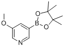 5-Methoxypyridine-3-boronic acid pinacol esterStructure,445264-60-8Structure 5-Methoxypyridine-3-boronic acid pinacol ester Structure,445264-60-8Structure