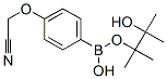 4-Cyanomethoxyphenylboronic acid, pinacol esterStructure,475272-13-0Structure 4-Cyanomethoxyphenylboronic acid, pinacol ester Structure,475272-13-0Structure