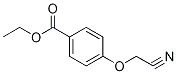 4-(Cyanomethoxy)benzoic acid ethyl esterStructure,501662-75-5Structure 4-(Cyanomethoxy)benzoic acid ethyl ester Structure,501662-75-5Structure