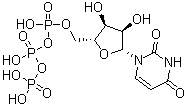 Uridine 5-(tetrahydrogen triphosphate) Structure,63-39-8Structure