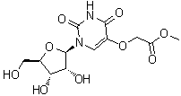 Uridine-5-oxyacetic acid methyl esterStructure,66536-81-0Structure Uridine-5-oxyacetic acid methyl ester Structure,66536-81-0Structure