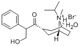 Ipratropium bromideStructure,66985-17-9Structure Ipratropium bromide Structure,66985-17-9Structure