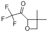 Ethanone, 1-(3,3-dimethyl-2-oxetanyl)-2,2,2-trifluoro-(9ci)Structure,671220-27-2Structure Ethanone, 1-(3,3-dimethyl-2-oxetanyl)-2,2,2-trifluoro-(9ci) Structure,671220-27-2Structure