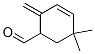 3-Cyclohexene-1-carboxaldehyde, 5,5-dimethyl-2-methylene-(9ci)Structure,691012-58-5Structure 3-Cyclohexene-1-carboxaldehyde, 5,5-dimethyl-2-methylene-(9ci) Structure,691012-58-5Structure