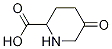5-Oxo-2-piperidinecarboxylic acid Structure,789448-80-2Structure