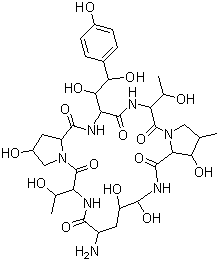 Ethinocandin bStructure,79411-15-7Structure Ethinocandin b Structure,79411-15-7Structure