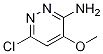 6-Chloro-4-methoxy-3-pyridazinamine Structure,808770-39-0Structure