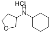 3-N-cyclohexyl-tetrahydrofuran-3-yl-amine hydrochlorideStructure,859522-09-1Structure 3-N-cyclohexyl-tetrahydrofuran-3-yl-amine hydrochloride Structure,859522-09-1Structure