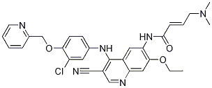 N-[4-[[3-氯-4-(2-吡啶甲氧基)苯基]氨基]-3-氰基-7-乙氧基-6-喹啉]-4-(二甲基氨基)-2-丁酰胺結(jié)構(gòu)式_876310-02-0結(jié)構(gòu)式