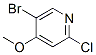 5-Bromo-2-chloro-4-methoxypyridine Structure,880870-13-3Structure