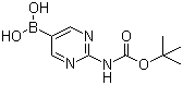[2-[(Tert-Butoxycarbonyl)amino]pyrimidin-5-yl]boronic acid Structure,883231-25-2Structure