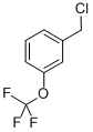 3-(Trifluoromethoxy)benzyl chlorideStructure,89807-43-2Structure 3-(Trifluoromethoxy)benzyl chloride Structure,89807-43-2Structure