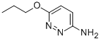 3-Pyridazinamine, 6-propoxy-Structure,90008-50-7Structure 3-Pyridazinamine, 6-propoxy- Structure,90008-50-7Structure