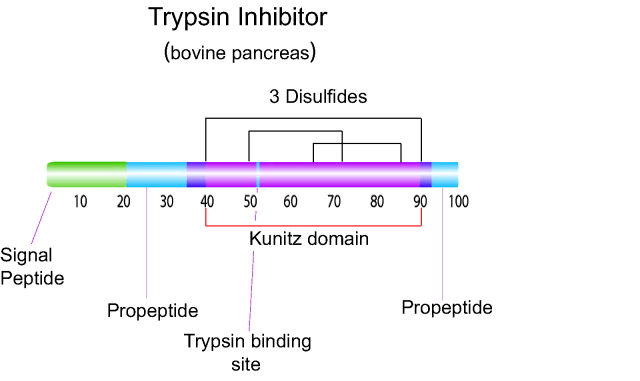 Trypsin inhibitor (soybean) standard Structure,9035-81-8Structure