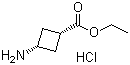 cis-3-Aminocyclobutanecarboxylic acid ethyl ester hydrochloride Structure,957793-35-0Structure
