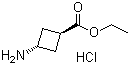 trans-3-Aminocyclobutanecarboxylic acid ethyl ester hydrochloride Structure,957793-36-1Structure