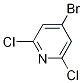 2,6-Dichloro-4-bromopyridine Structure,98027-80-6Structure