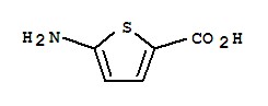 2-Thiophenecarboxylicacid,5-amino-Structure,204068-72-4Structure 2-Thiophenecarboxylicacid,5-amino- Structure,204068-72-4Structure