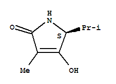 (5s)-(9ci)-1,5-二氫-4-羥基-3-甲基-5-(1-甲基乙基)-2H-吡咯-2-酮結(jié)構(gòu)式_234752-13-7結(jié)構(gòu)式