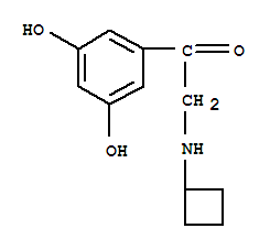 Ethanone, 2-(cyclobutylamino)-1-(3,5-dihydroxyphenyl)-(9ci)Structure,743365-24-4Structure Ethanone, 2-(cyclobutylamino)-1-(3,5-dihydroxyphenyl)-(9ci) Structure,743365-24-4Structure