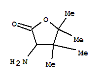(9ci)-3-氨基二氫-4,4,5,5-四甲基-2(3H)-呋喃酮結構式_747359-10-0結構式