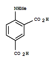 4-(甲基氨基)-異酞酸結(jié)構(gòu)式_779349-89-2結(jié)構(gòu)式